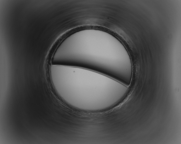 X0000098090926200804040723