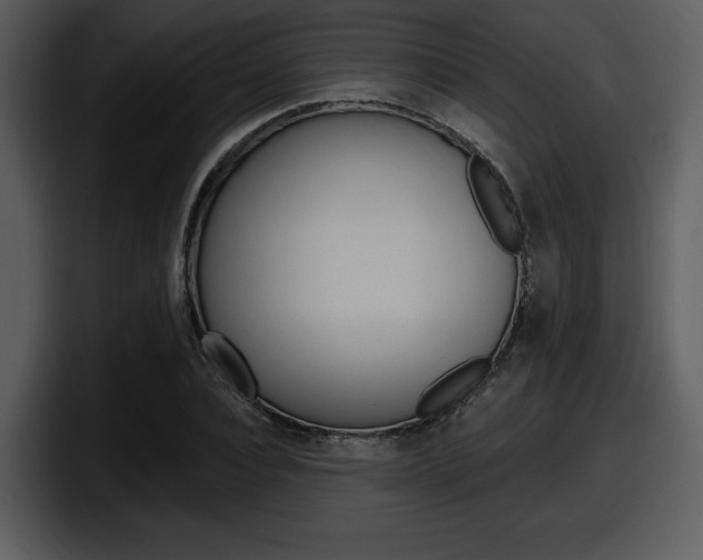X0000098090928200804040723