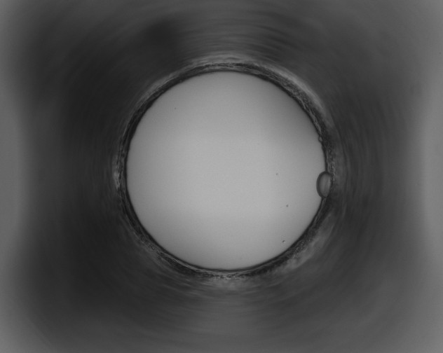 X0000098090929200804040723