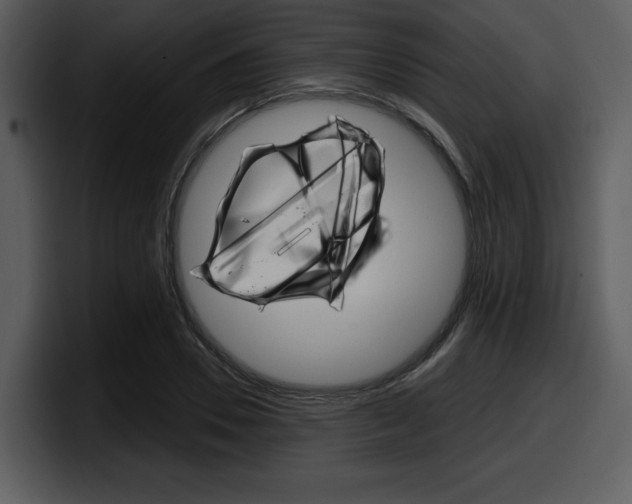 X0000098090930200804040723