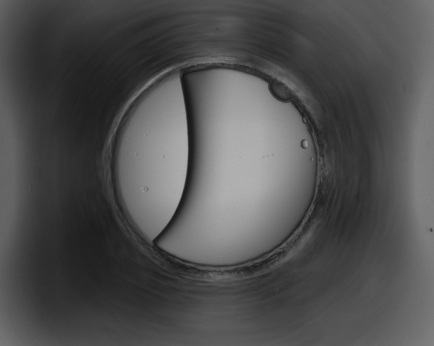 X0000098090933200804040723