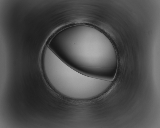 X0000098090934200804040723