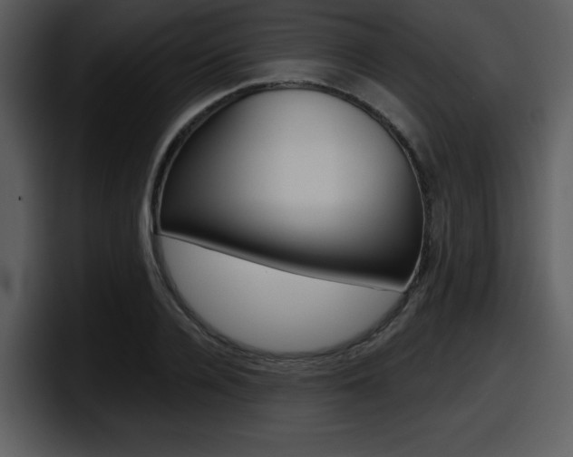 X0000098090936200804040723