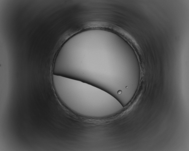 X0000098090937200804040723