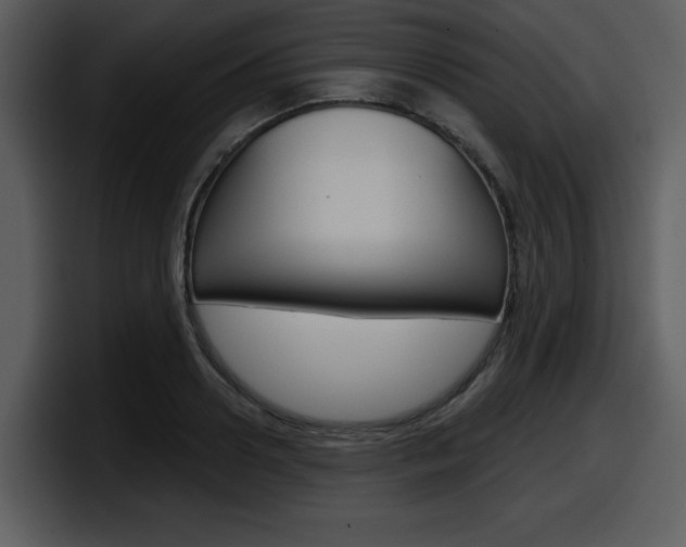 X0000098090938200804040723