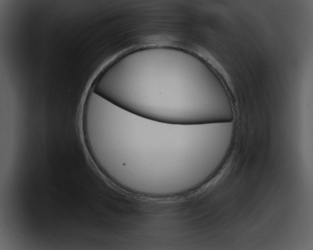 X0000098090941200804040723