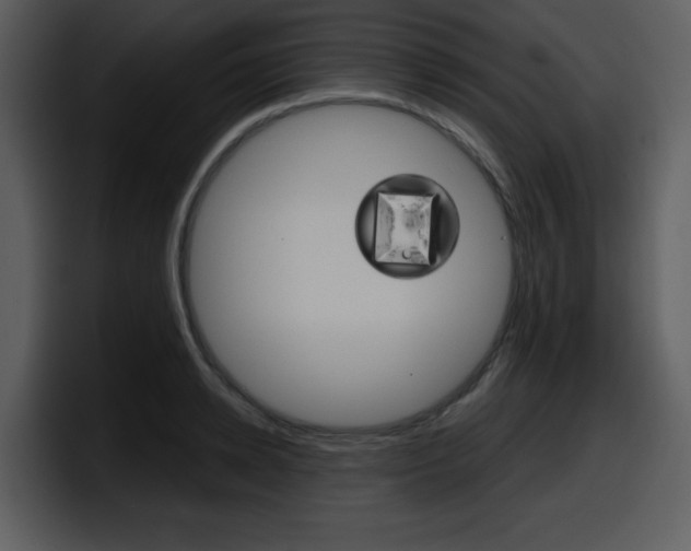 X0000098090942200804040723