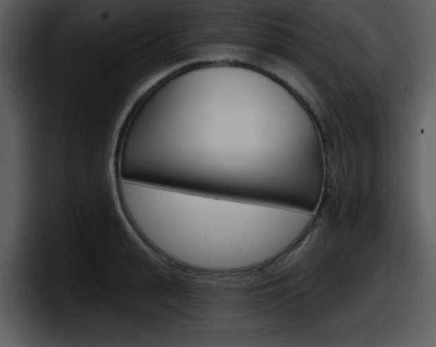 X0000098090943200804040723