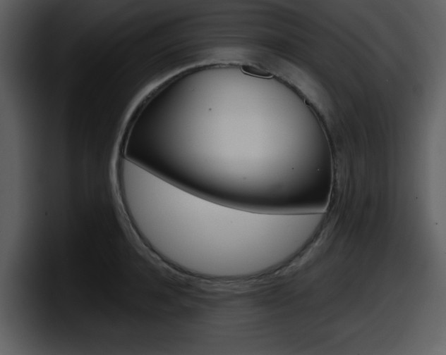X0000098090944200804040724
