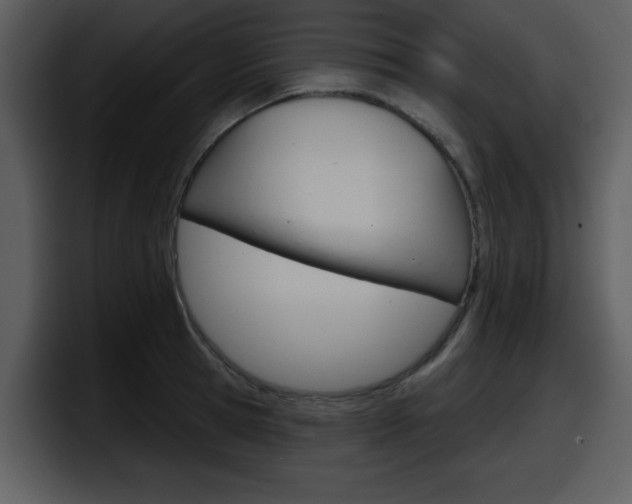 X0000098090945200804040724