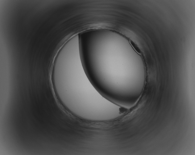 X0000098090946200804040724