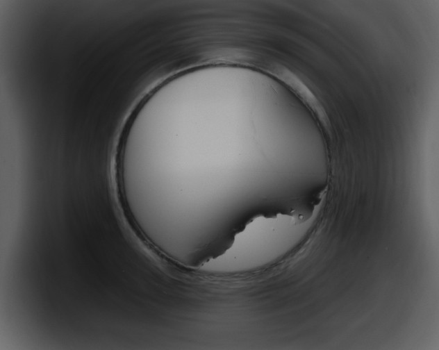 X0000098090947200804040724