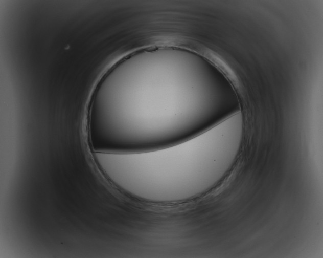 X0000098090948200804040724