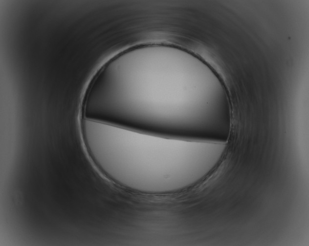 X0000098090951200804040724