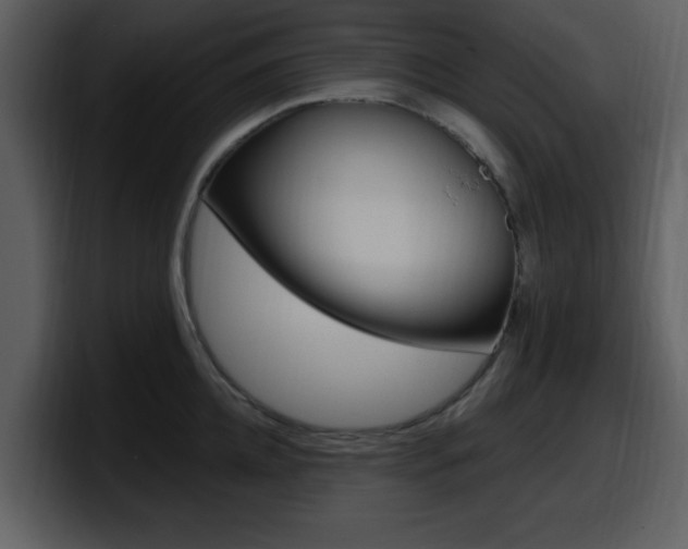 X0000098090952200804040724