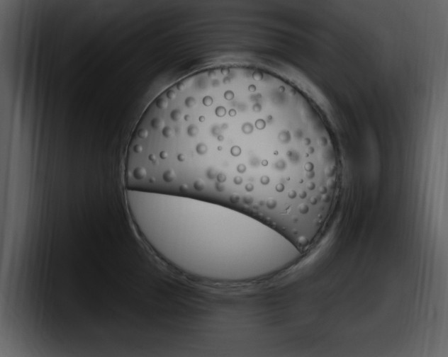 X0000098090953200804040724