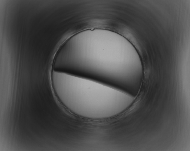 X0000098090954200804040724