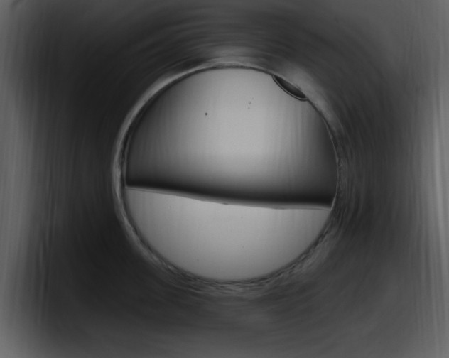 X0000098090955200804040724