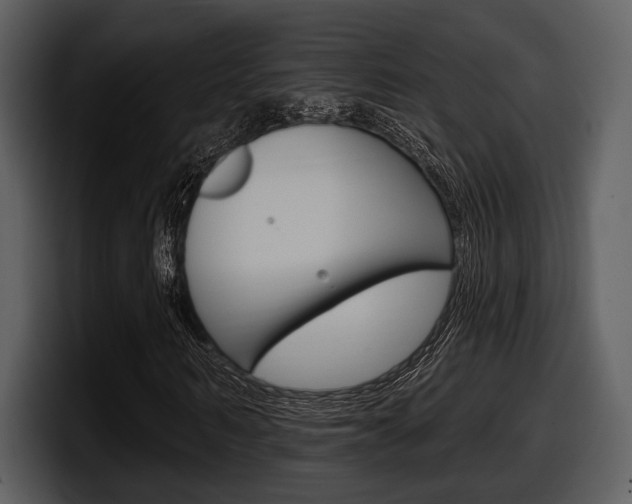 X0000098090962200804040723