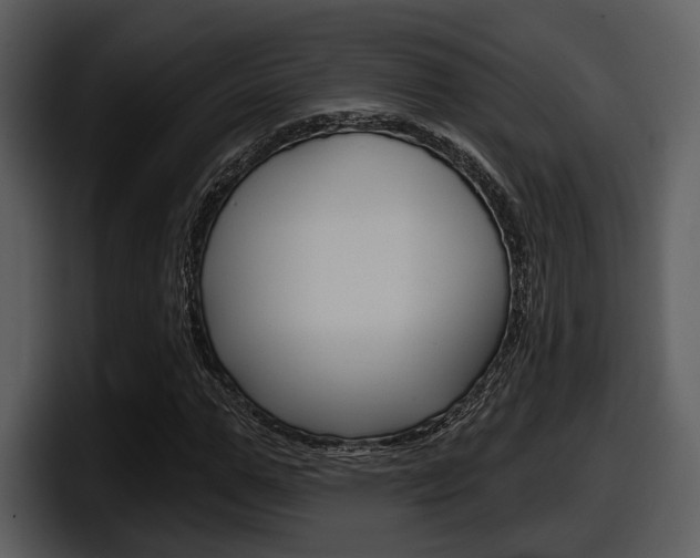 X0000098090967200804040723