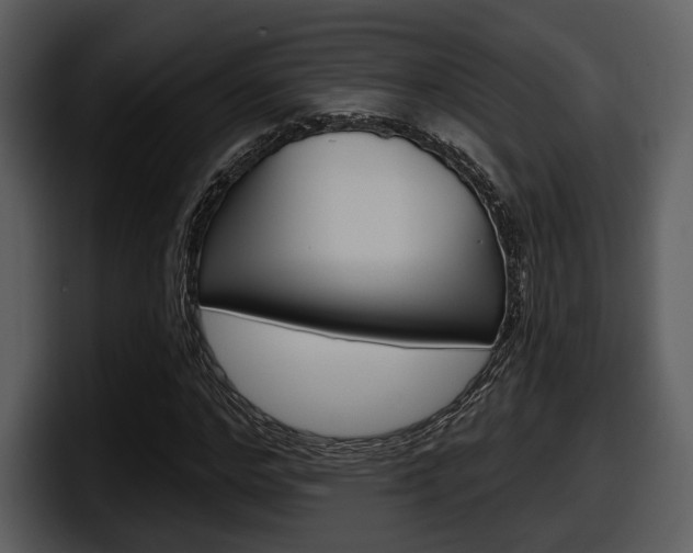 X0000098090968200804040723