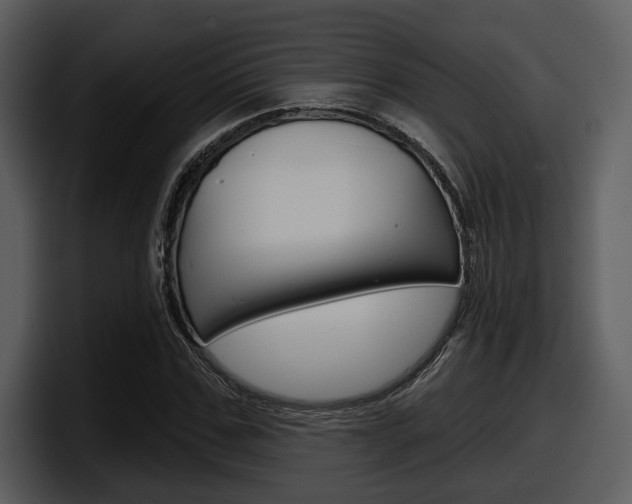 X0000098090971200804040723