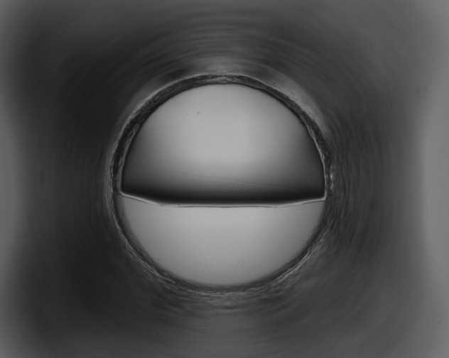 X0000098090972200804040723