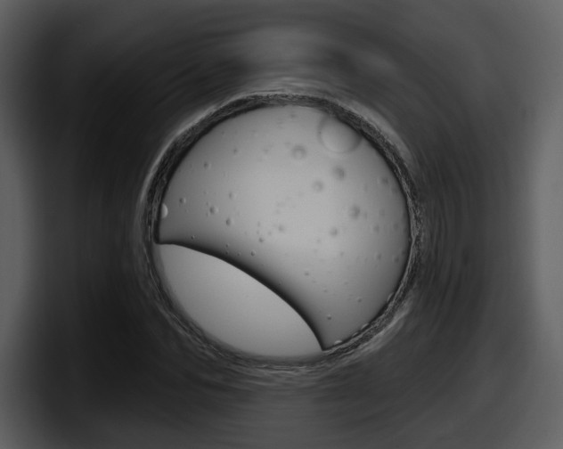 X0000098090974200804040723