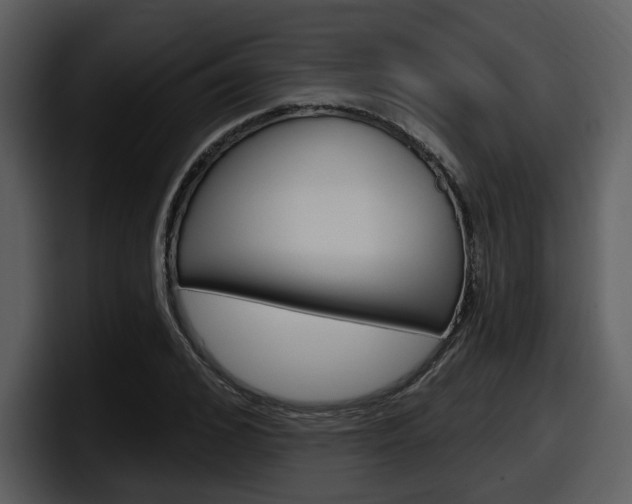X0000098090976200804040723