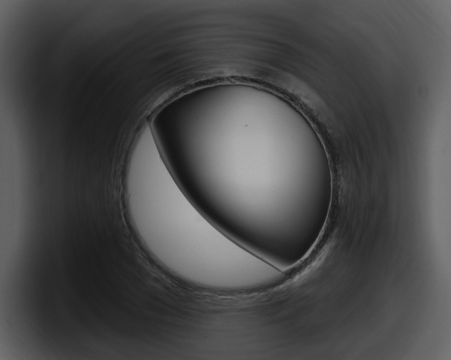 X0000098090977200804040723