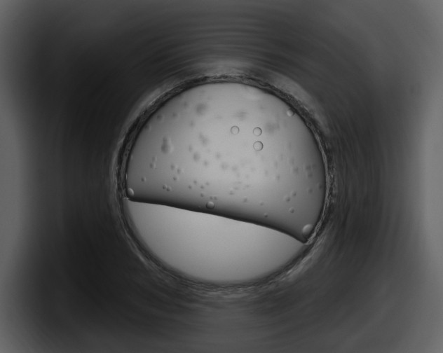 X0000098090978200804040723