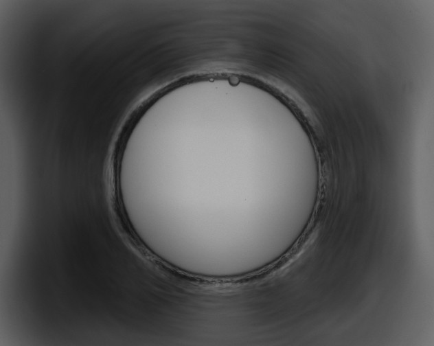 X0000098090982200804040723
