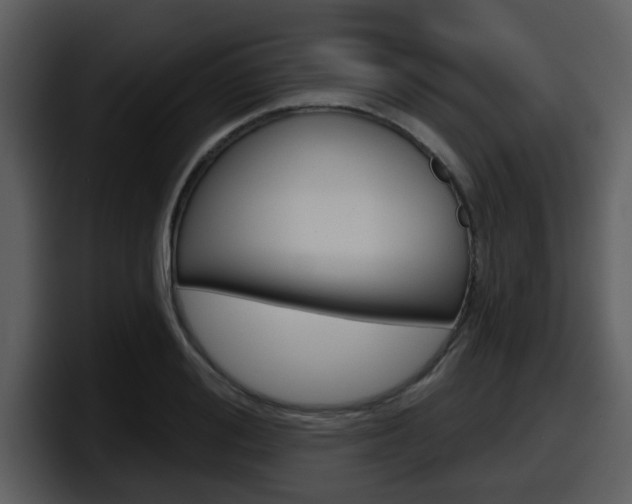 X0000098090988200804040723