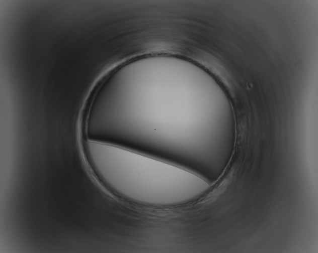 X0000098090991200804040723