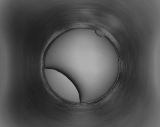 X0000098090994200804040723