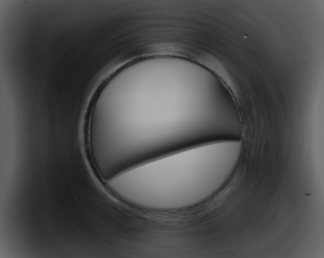 X0000098090995200804040723