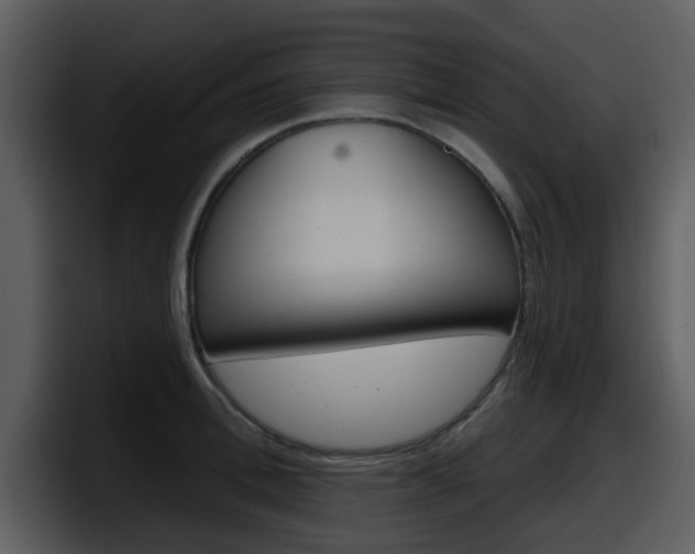 X0000098090996200804040723