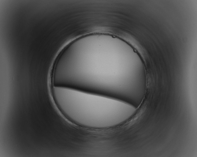 X0000098090999200804040723
