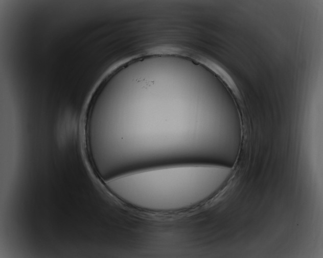 X0000098091000200804040723