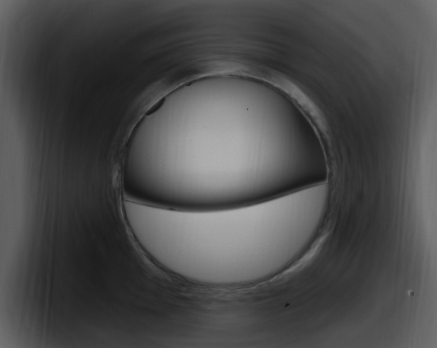 X0000098091001200804040723