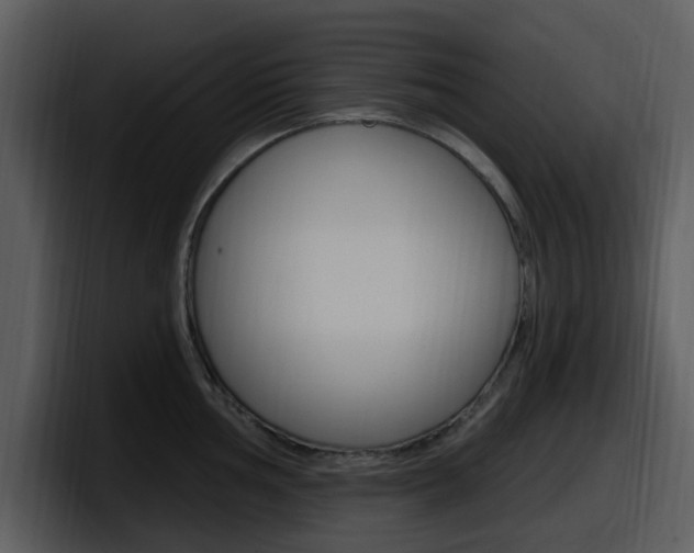 X0000098091002200804040723