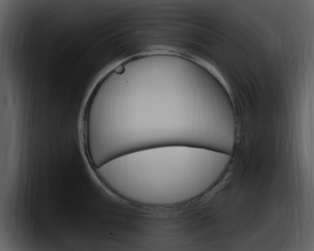 X0000098091003200804040723