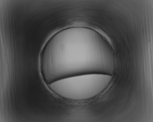 X0000098091006200804040723
