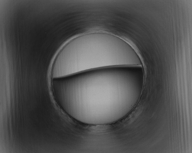 X0000098091008200804040722