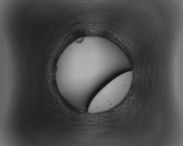 X0000098091009200804040722