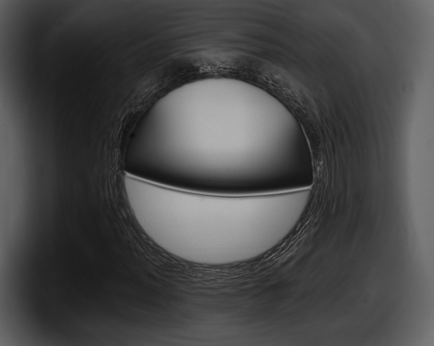 X0000098091012200804040722