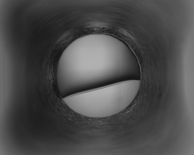 X0000098091014200804040722