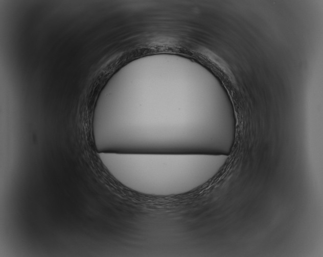 X0000098091015200804040722