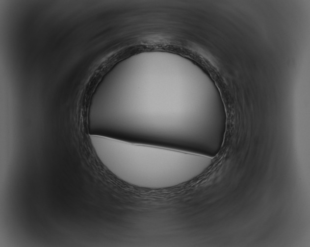 X0000098091016200804040722