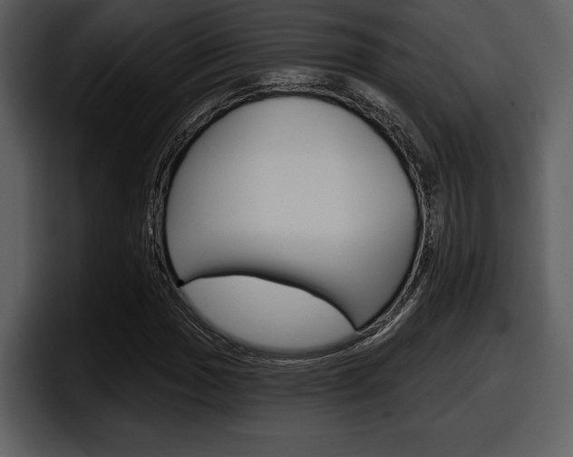 X0000098091017200804040722